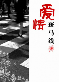 日韩精品一区二区三区视频网